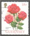 Guernsey Scott 584a Used